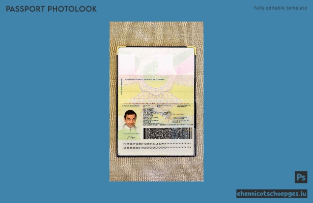 Beispielansicht eines äthiopischen Passfotos